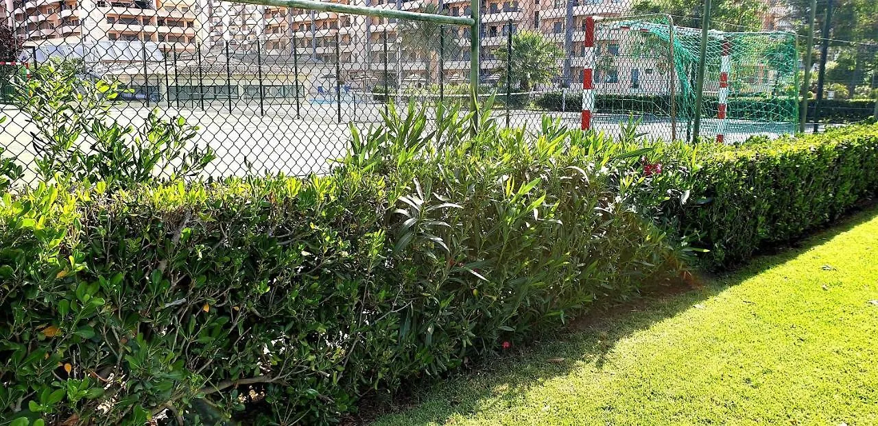 Apartamento Sol Da Rocha Studio By Sunny Deluxe Portimão